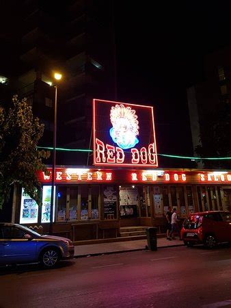 reddog benidorm